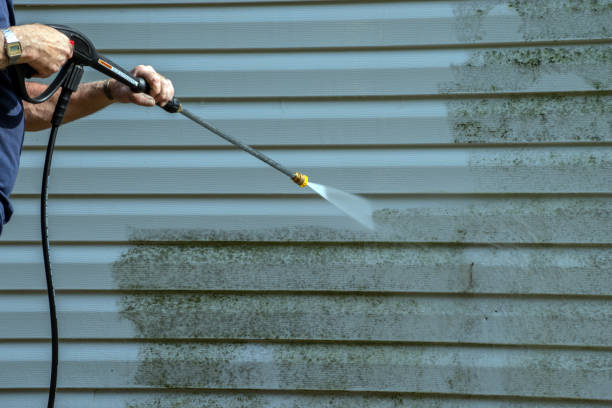 Best Gutter Cleaning  in Elgin, TX